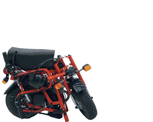 Folding Moped DI BLASI Mod. R7