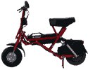 Electric Folding Scooter Mod. R70